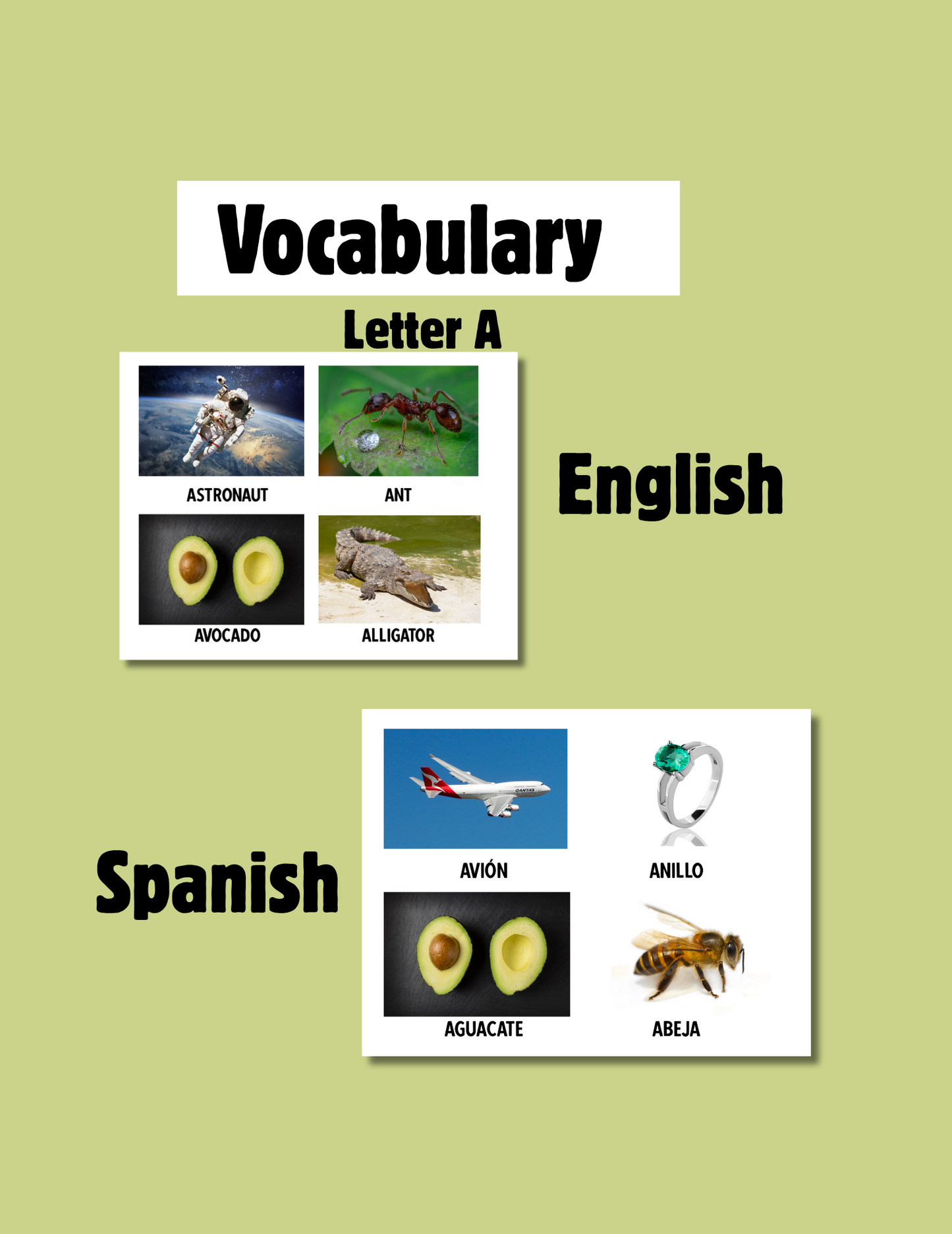 Apple Theme🍎| Hojas de actividades, Versículo Bíblico y Vocabulario Inglés/ Español. (Cristiano/ bilingüe) Imprimibles- Descarga automática