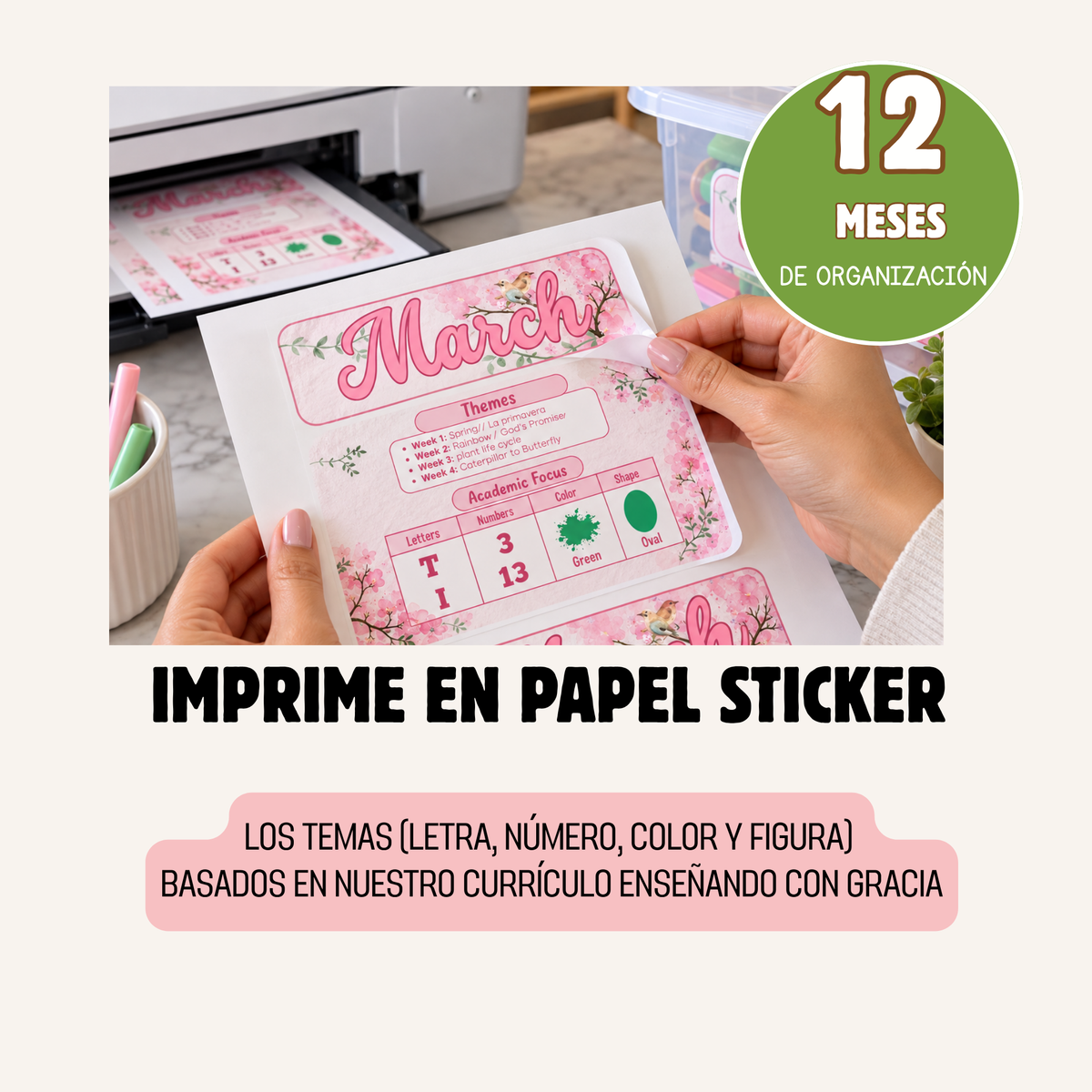 Sistema de Organización de Containers (12 Meses) | 100 Labels Imprimibles Ingles y Espanol