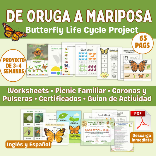 De Oruga a Mariposa (Butterfly Life Cycle Project)