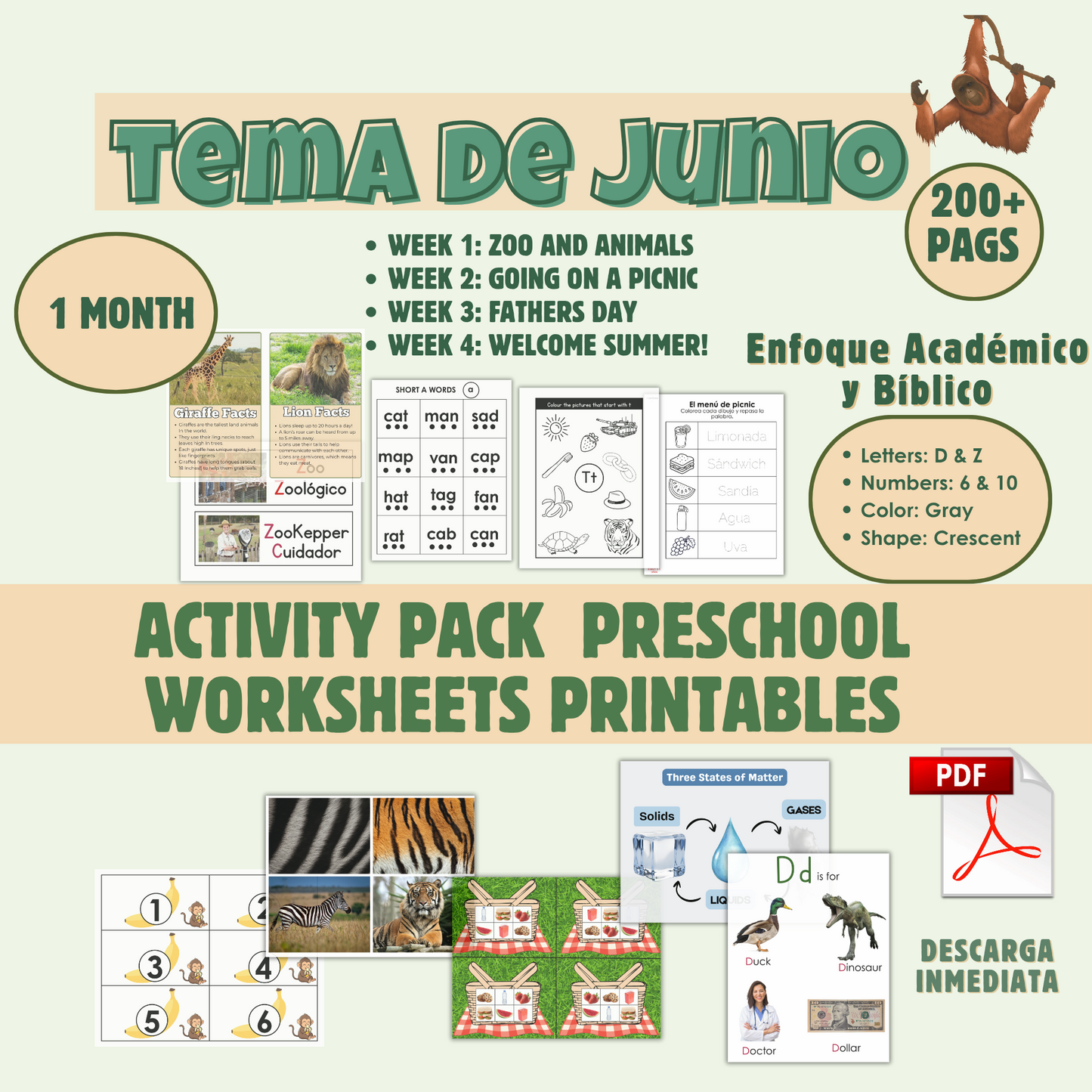 Membership Curriculum