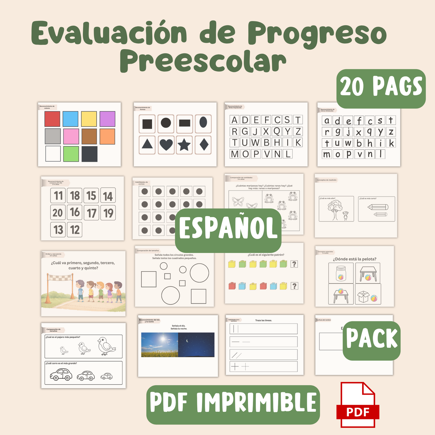 Evaluación del progreso preescolar/20 págs/ Español/ PDF imprimible/